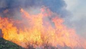 ГОРЕ ШУМЕ У СИБИРУ: У ватреној стихији нестало преко милион хектара растиња ГОРЕ ШУМЕ У СИБИРУ: У ватреној стихији нестало преко милион хектара растиња