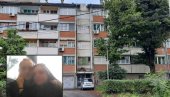 Новости на лицу места: Комшије настрадалог Радета о језивој несрећи код Владе Србије Новости на лицу места: Комшије настрадалог Радета о језивој несрећи код Владе Србије