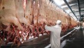 Kao glavne krivce označili radnike sa istoka EU: Berlin se zbog kovida 19 izvinio Bugarima Kao glavne krivce označili radnike sa istoka EU: Berlin se zbog kovida 19 izvinio Bugarima
