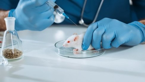 U ARGENTINI POČELA ISPITIVANJA: Lek za KOVID traže u konjskom serumu U ARGENTINI POČELA ISPITIVANJA: Lek za KOVID traže u konjskom serumu