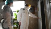 У БЕОГРАДУ ПАД НОВООБОЛЕЛИХ: У Новом Саду пораст- ево какво је стање у осталим градовима У БЕОГРАДУ ПАД НОВООБОЛЕЛИХ: У Новом Саду пораст- ево какво је стање у осталим градовима