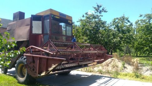 Ратари у околини Новог Сада приводе крају жетву јечма, а почело и скидање пшенице: Род добар, упркос суши Ратари у околини Новог Сада приводе крају жетву јечма, а почело и скидање пшенице: Род добар, упркос суши