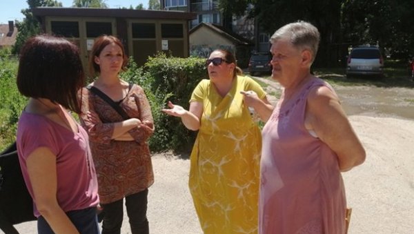 Станари суботичког насеља Радијалац негодују: Не ломите нам багрење и брезе! Станари суботичког насеља Радијалац негодују: Не ломите нам багрење и брезе!