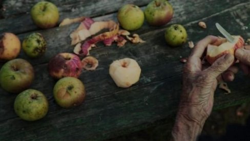 TRI SRPSKA FILMA NAGRAĐENA NA FESTIVALU U LOS ANĐELESU TRI SRPSKA FILMA NAGRAĐENA NA FESTIVALU U LOS ANĐELESU