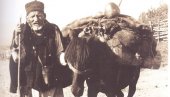Захваљујући фотографији, Златиборски брзи воз стигао на крај света Захваљујући фотографији, Златиборски брзи воз стигао на крај света