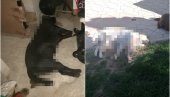 ЈЕЗИВА ПЉАЧКА У ВРАЊУ ДОБИЛА ЕПИЛОГ: Полиција ухапсила пљачкаша који је убио псе ЈЕЗИВА ПЉАЧКА У ВРАЊУ ДОБИЛА ЕПИЛОГ: Полиција ухапсила пљачкаша који је убио псе