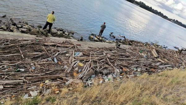 УСЛЕД НИЖЕГ ВОДОСТАЈА ДУНАВА, СМЕТЛИШТЕ УЗ ШЕТАЛИШТЕ КОД СЦ 25. МАЈ НА ДОРЋОЛУ УСЛЕД НИЖЕГ ВОДОСТАЈА ДУНАВА, СМЕТЛИШТЕ УЗ ШЕТАЛИШТЕ КОД СЦ 25. МАЈ НА ДОРЋОЛУ