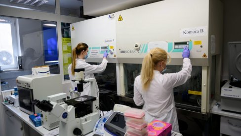 KORONA U SRBIJI SLIČNA NEMAČKOJ I ITALIJANSKOJ: Kod nas prisutni izvorni sojevi i oni sa mutacijom KORONA U SRBIJI SLIČNA NEMAČKOJ I ITALIJANSKOJ: Kod nas prisutni izvorni sojevi i oni sa mutacijom