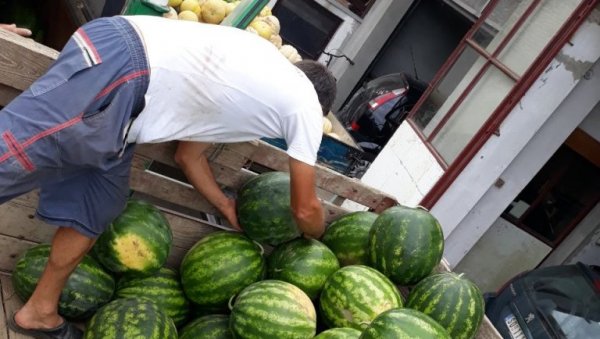 ЛУБЕНИЦЕ НАЈПРОДАВАНИЈЕ НА КВАНТАШУ: Промет робе увећан за 34 одсто ЛУБЕНИЦЕ НАЈПРОДАВАНИЈЕ НА КВАНТАШУ: Промет робе увећан за 34 одсто