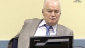 РАСПРАВА О ЖАЛБАМА:  О пресуди Младићу крајем августа