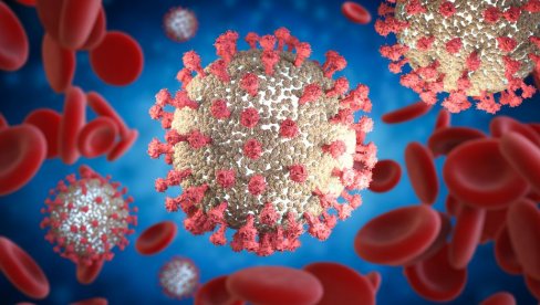 DA LI KORONA MUTIRA: Virus iz Vuhana nije isti kao trenutni DA LI KORONA MUTIRA: Virus iz Vuhana nije isti kao trenutni