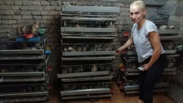 ТРАЖИЛА ЛЕК, ПОКРЕНУЛА БИЗНИС: Хтела сину да олакша тегобе због бронхитиса, а сада гаји 500 птица ТРАЖИЛА ЛЕК, ПОКРЕНУЛА БИЗНИС: Хтела сину да олакша тегобе због бронхитиса, а сада гаји 500 птица
