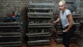 ТРАЖИЛА ЛЕК, ПОКРЕНУЛА БИЗНИС: Хтела сину да олакша тегобе због бронхитиса, а сада гаји 500 птица ТРАЖИЛА ЛЕК, ПОКРЕНУЛА БИЗНИС: Хтела сину да олакша тегобе због бронхитиса, а сада гаји 500 птица