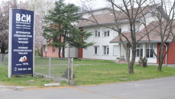 ДНЕВНО ТЕСТИРАЈУ 270 УЗОРАКА: ВСИ Краљево повећао капацитет за 30 одсто ДНЕВНО ТЕСТИРАЈУ 270 УЗОРАКА: ВСИ Краљево повећао капацитет за 30 одсто