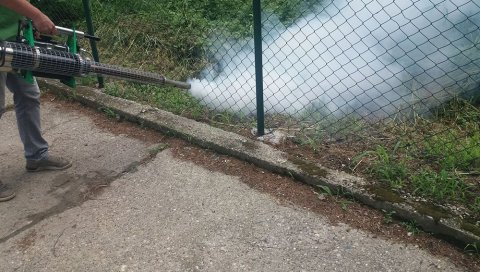 БОРБА ПРОТИВ КОМАРАЦА: Због честих падавина повећан број третмана БОРБА ПРОТИВ КОМАРАЦА: Због честих падавина повећан број третмана