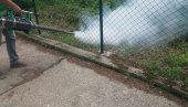 ПОЧИЊЕ ПРСКАЊЕ: По комарцима на 54 локације у Београду, третман и из авиона ПОЧИЊЕ ПРСКАЊЕ: По комарцима на 54 локације у Београду, третман и из авиона