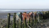 20 КОМПАНИЈА ЗАГАЂУЈЕ ПЛАНЕТУ: Велике фирме, уз помоћ банака, распирују климатске кризе 20 КОМПАНИЈА ЗАГАЂУЈЕ ПЛАНЕТУ: Велике фирме, уз помоћ банака, распирују климатске кризе