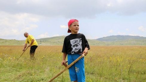 KOSI DEDA MIĆO, A RADOVAN PRIPOMAŽE: Na livadi Gvozna iznad Kalinovika, spala kosidba na dva nejaka KOSI DEDA MIĆO, A RADOVAN PRIPOMAŽE: Na livadi Gvozna iznad Kalinovika, spala kosidba na dva nejaka