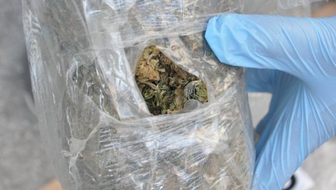 KANABIS U DŽEPU: Optužen Zrenjaninac (29) zbog droge u jakni KANABIS U DŽEPU: Optužen Zrenjaninac (29) zbog droge u jakni