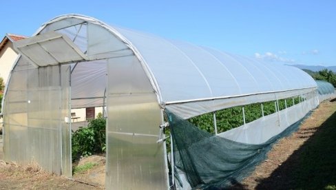 ОСНОВА ЈЕ ЗЕМЉИШТЕ: Како до високих и стабилних приноса поврћа у пластенику?