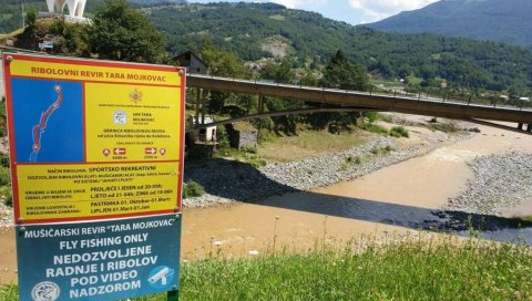 ТАРА ЧЕКА АНАЛИЗУ: Министарство одрживог развоја и туризма тражи разлог замућења реке ТАРА ЧЕКА АНАЛИЗУ: Министарство одрживог развоја и туризма тражи разлог замућења реке