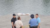 УЖАС У БЕОГРАДУ: Тело мушкарца у доњем вешу и са завојима око ноге извучено из Саве УЖАС У БЕОГРАДУ: Тело мушкарца у доњем вешу и са завојима око ноге извучено из Саве