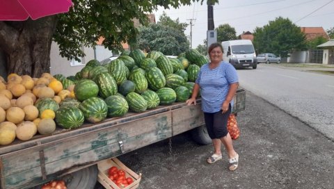 ЛУБЕНИЦЕ СКУПЉЕ ОВЕ ГОДИНЕ: Прошле сезоне од 10 до 15 динара, сада и до 60 - ОВО ЈЕ РАЗЛОГ ЛУБЕНИЦЕ СКУПЉЕ ОВЕ ГОДИНЕ: Прошле сезоне од 10 до 15 динара, сада и до 60 - ОВО ЈЕ РАЗЛОГ