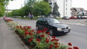 NIŠTA BEZ DECE: Podrška mladim bračnim parovima u Ugljeviku NIŠTA BEZ DECE: Podrška mladim bračnim parovima u Ugljeviku