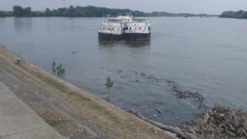 OBUSTAVLJENA PLOVIDBA NA DUNAVU: Udari vetra dostižu brzinu i od 110 kilometara na sat! OBUSTAVLJENA PLOVIDBA NA DUNAVU: Udari vetra dostižu brzinu i od 110 kilometara na sat!