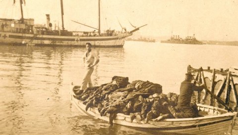 СУНЧАЊЕ НА КОСТИМА СРПСКИХ ХЕРОЈА: Да ли знате зашто је острво Видо важно за све нас? СУНЧАЊЕ НА КОСТИМА СРПСКИХ ХЕРОЈА: Да ли знате зашто је острво Видо важно за све нас?