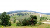 NESREĆA NA DIVČIBARAMA: Novosađanka (60) pala sa ŽIČARE na kamenjar, spasli je vatrogasci NESREĆA NA DIVČIBARAMA: Novosađanka (60) pala sa ŽIČARE na kamenjar, spasli je vatrogasci