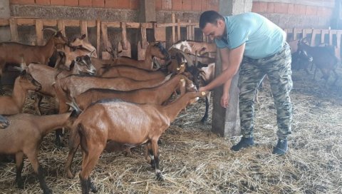 СВАДБЕНИ ДАРОВИ ЗА ФАРМУ КОЗА: Милош Радуловић и Јована Танаић из Ниша брачни живот започели као приватници СВАДБЕНИ ДАРОВИ ЗА ФАРМУ КОЗА: Милош Радуловић и Јована Танаић из Ниша брачни живот започели као приватници