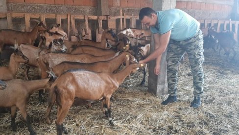 СВАДБЕНИ ДАРОВИ ЗА ФАРМУ КОЗА: Милош Радуловић и Јована Танаић из Ниша брачни живот започели као приватници СВАДБЕНИ ДАРОВИ ЗА ФАРМУ КОЗА: Милош Радуловић и Јована Танаић из Ниша брачни живот започели као приватници