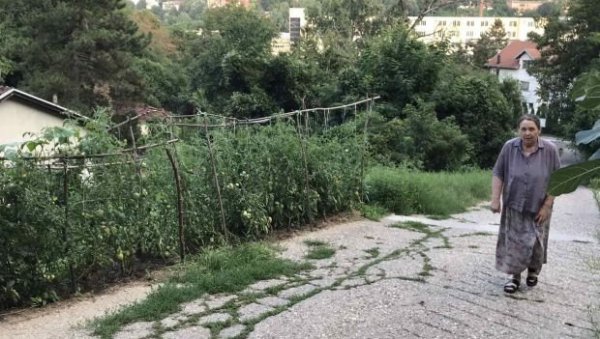 КОРОВ МОЖЕ, А ПАРАДАЈЗ НЕ: Житељи улице Црнојевића у Раковици пријавили свог комшију због необичног оплемењивања простора КОРОВ МОЖЕ, А ПАРАДАЈЗ НЕ: Житељи улице Црнојевића у Раковици пријавили свог комшију због необичног оплемењивања простора