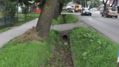 ЗБОГОМ ПОПЛАВАМА: Уређење и регулација водотокова постала приоритет на територији Краљева ЗБОГОМ ПОПЛАВАМА: Уређење и регулација водотокова постала приоритет на територији Краљева