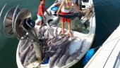 BOGATI ULOV ULCINJSKIH RIBARA: Ivo i Fikret imali rekordni dan, čamac bio krcat ribom BOGATI ULOV ULCINJSKIH RIBARA: Ivo i Fikret imali rekordni dan, čamac bio krcat ribom