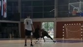 МЕКИНТАЈЕР ПОСЛАО ТОМАСА КОД КИРОПРАКТИЧАРА: Нови плејмејкер Партизана изломио Рашона, после коша - лудница (ВИДЕО) МЕКИНТАЈЕР ПОСЛАО ТОМАСА КОД КИРОПРАКТИЧАРА: Нови плејмејкер Партизана изломио Рашона, после коша - лудница (ВИДЕО)