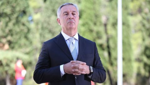 Спекулације да власт у Црној Гори увози хулигане: ДПС - бесмислице и опасне лажи Спекулације да власт у Црној Гори увози хулигане: ДПС - бесмислице и опасне лажи