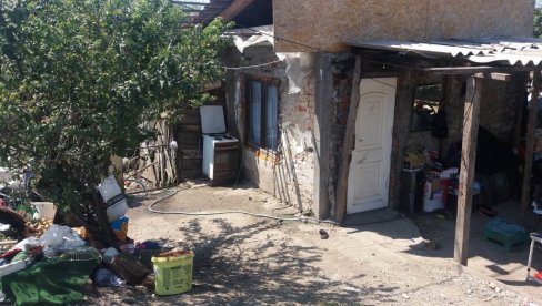 НОВОСТИ У ШАБАЧКОМ НЕХИГИЈЕНСКОМ НАСЕЉУ ШУМИЦЕ: ,,Пацов нам је домаћа животиња! НОВОСТИ У ШАБАЧКОМ НЕХИГИЈЕНСКОМ НАСЕЉУ ШУМИЦЕ: ,,Пацов нам је домаћа животиња!