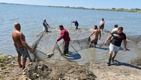 ДОБРО ОРГАНИЗОВАНЕ ГРУПЕ: Краду рибу и утерују страх - угрожавају безбедност запослених чувара ДОБРО ОРГАНИЗОВАНЕ ГРУПЕ: Краду рибу и утерују страх - угрожавају безбедност запослених чувара