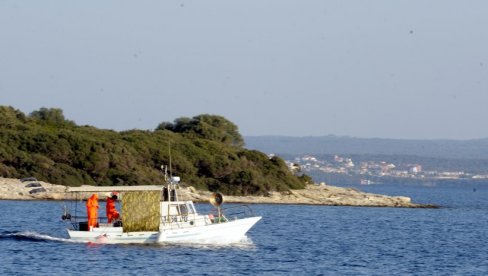 OPASNA PELAGIJA OKUPIRALA HRVATSKO PRIMORJE: Za jedno jutro, osam uboda na samo jednoj plaži