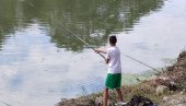 ПОСКУПЉУЈЕ ПЕЦАЊЕ: Ево колико ће коштати дозволе за рекреативни риболов ПОСКУПЉУЈЕ ПЕЦАЊЕ: Ево колико ће коштати дозволе за рекреативни риболов