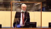 РАТКО СЕ НЕ ДА: Генерал захваљује свима на рођенданским честиткама и части јагодама РАТКО СЕ НЕ ДА: Генерал захваљује свима на рођенданским честиткама и части јагодама