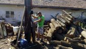 PORASLE CENE OGREVA U NIŠU Evo koliko košta bukovina, a koliko hrastovina PORASLE CENE OGREVA U NIŠU Evo koliko košta bukovina, a koliko hrastovina