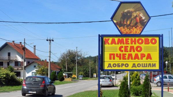 КАД ИМАШ МЕД, НЕ ГУРАЈ РУКЕ У ПЕКМЕЗ: У јединственом селу Каменово код Петровца на Млави свака друга кућа бави се пчеларством КАД ИМАШ МЕД, НЕ ГУРАЈ РУКЕ У ПЕКМЕЗ: У јединственом селу Каменово код Петровца на Млави свака друга кућа бави се пчеларством