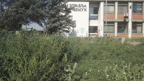 AMBROZIJA KOD DOMA ZDRAVLJA: Beograđani sve češće ukazuju nadležnim službama na pojavu opasnog korova u svojoj okolini AMBROZIJA KOD DOMA ZDRAVLJA: Beograđani sve češće ukazuju nadležnim službama na pojavu opasnog korova u svojoj okolini