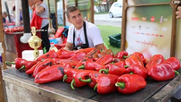 ЦЕНЕ ЗАПРЖИЛЕ АЈВАР: Цене неће падати, а произвођачи најављују и могући раст ЦЕНЕ ЗАПРЖИЛЕ АЈВАР: Цене неће падати, а произвођачи најављују и могући раст