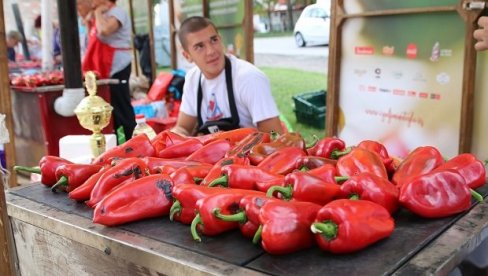 ЦЕНЕ ЗАПРЖИЛЕ АЈВАР: Цене неће падати, а произвођачи најављују и могући раст ЦЕНЕ ЗАПРЖИЛЕ АЈВАР: Цене неће падати, а произвођачи најављују и могући раст