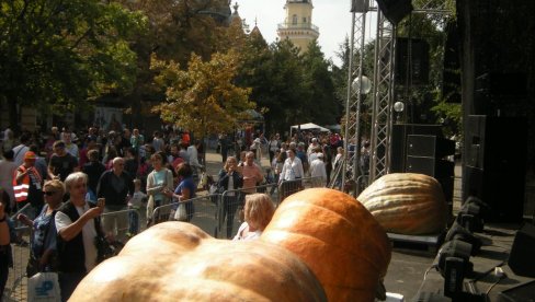 „ДАНИ ЛУДАЈЕ“ У КИКИНДИ БИЋЕ ОДРЖАНИ, АЛИ СКРОМНИЈЕ НЕГО РАНИЈЕ: Тикве без фруштука, карневала и концерата „ДАНИ ЛУДАЈЕ“ У КИКИНДИ БИЋЕ ОДРЖАНИ, АЛИ СКРОМНИЈЕ НЕГО РАНИЈЕ: Тикве без фруштука, карневала и концерата