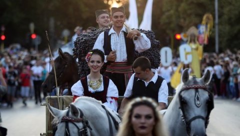 КОРОНА ОТКАЗАЛА И СМЕДЕРЕВСКУ ЈЕСЕН: Градски трг красиће велики грозд КОРОНА ОТКАЗАЛА И СМЕДЕРЕВСКУ ЈЕСЕН: Градски трг красиће велики грозд